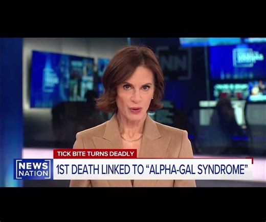 Alpha-gal? Never heard of it. #ticktock #tik #tick #alohagirl #news