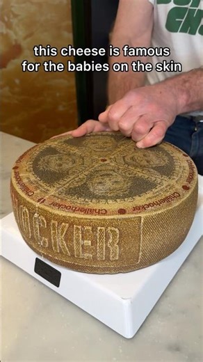 Cutting open Swiss Cheese #cheese