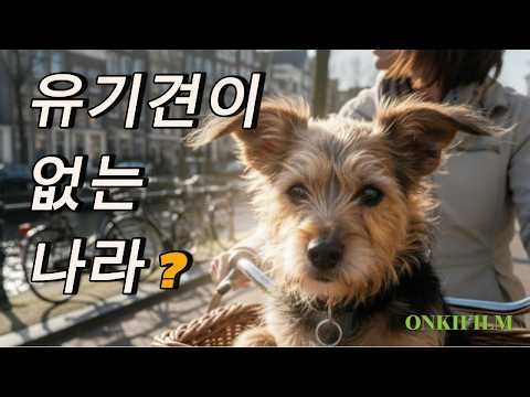 네덜란드는 왜 유기견이 거의 없을까? | 반려동물과 공존하는 사회