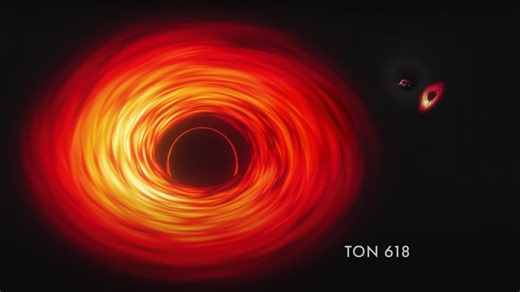 Black holes decoded: This year’s discoveries you can’t miss!