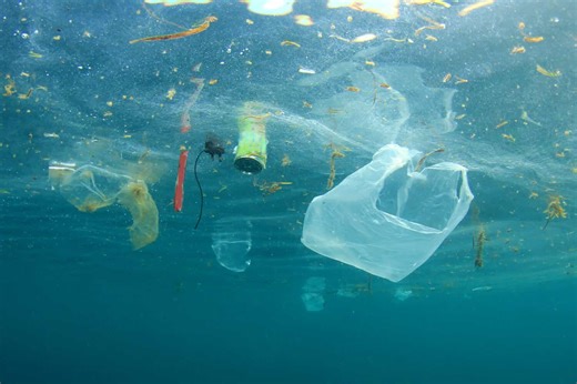 How Plastic Pollution Is Pushing Oceans and Marine Animals Toward Collapse