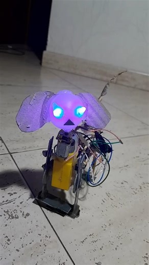 eu fiz cachorrinho robô de controle remoto em casa