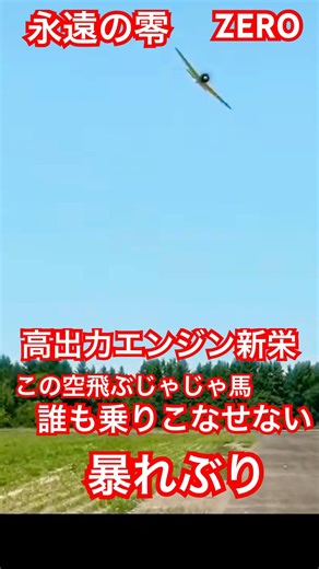 新栄全開飛行：空飛ぶ暴れ馬【The Untamable Beast】3000hp Zero Fighter "Shin-Ei" - Can anyone handle this monster?311