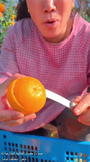 Fresh Orange Harvest & Slicing! So Juicy & Satisfying! 🍊🔪✨