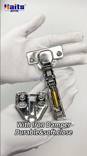 Stainless Steel Soft Close Cabinet Hinges