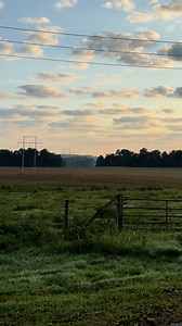 Rusty perks up his ears just a little.😂 | Micah D McGie