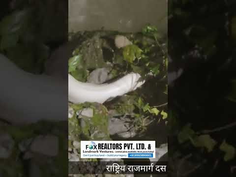 A massive, giant white python was spotted right along the banks of the Teesta River NH10