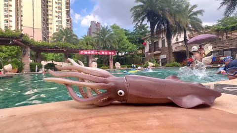 Gemini&Genius Sea Animal Squid Action Figure Toy for Kids, Soft Rubber Realistic Ocean Squid Educational and Role Play Toys for Kids and Collectors, Great Swimming and Bath Figure Toys