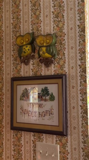 Exploring 70s Owl Aesthetics in Home Decor