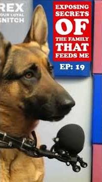 Linda's Forbidden "Fancy" Soap #malinois #dogtalk #doglife