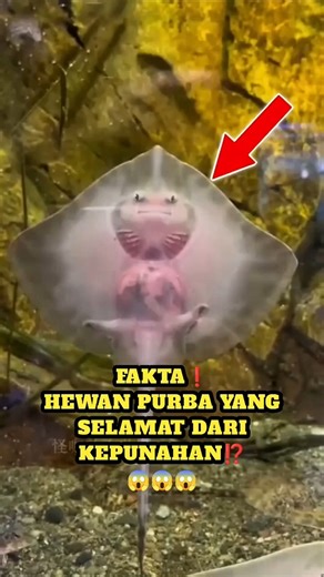 What😱, Is It At Your House, Guys⁉️