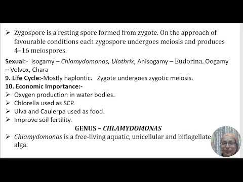 algae part 2 | hprca TGT medical|| biology notes