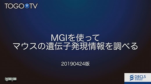 MGIを使ってマウスの遺伝子発現情報を調べる 2019