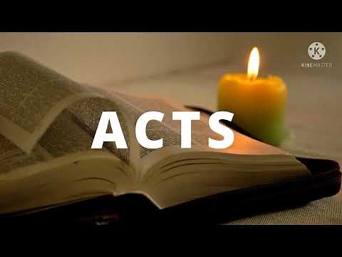 The Book of Acts | NIV Full Audio Bible