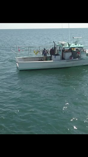 50K views · 528 reactions | This Maine-based startup, Running Tide Technologies, is experimenting with farming kelp, a type of seaweed, in an effort to pull carbon from the air and store it deep beneath the ocean floor, potentially giving the world another nature-based tool to curb climate change. https://cnn.it/3etkHBW | CNN | Facebook