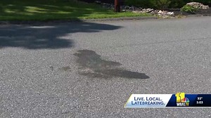 Fawn found dead, burned, tied up in Perry Hall (Graphic details)