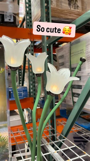 105K views · 333 reactions | Solar glass tulips  to light up your yard at Costco! #costco #costcofinds #tulips #shopping #solarlight #curbappeal #yard #landscaping | Discovering Costco | Facebook