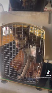 2.1K views · 307 reactions | Taking care of business with a whole lot...