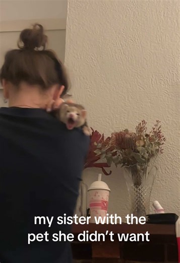 Caring for Ferrets: A Sister's Journey