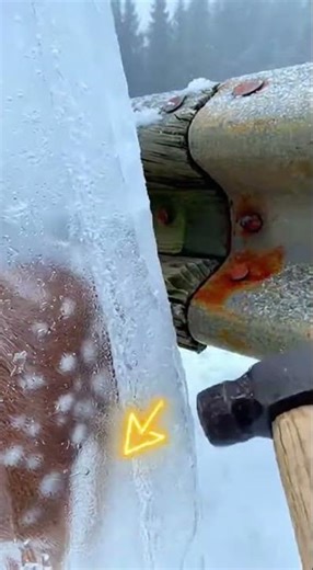 Frozen Deer Fawn RESCUE on Abandoned Snow Highway #deer #animals #wildlife #pov