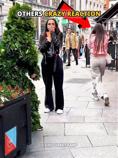 Normal Reaction v/s Most Crazy One