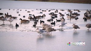 ❄️ Morning all. We captured these scenes on Crosby Marina yesterday. | The Guide Liverpool