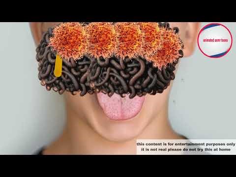 Face remove in insect animation video (animated asmr toons)