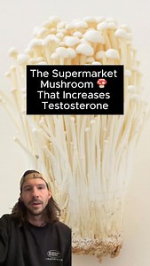 What caught my eye was that the active compound they identified was adenosine – a molecule that I’m familiar with because it’s also found in Cordyceps mushrooms and is fundamental to cellular energy production. Adenosine is literally what the “A” stands for in ATP (adenosine triphosphate), the energy currency every cell in your body runs on. When your mitochondria break down glucose and fatty acids to generate energy, they’re essentially charging up adenosine molecules. It’s the battery that pow