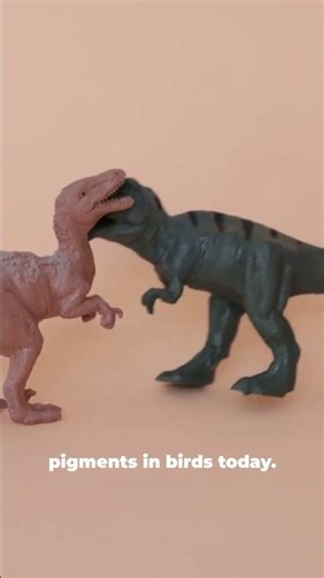 Dinosaurs Weren’t Gray: The Melanosome Reveal!