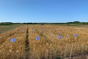 Field Crops Research