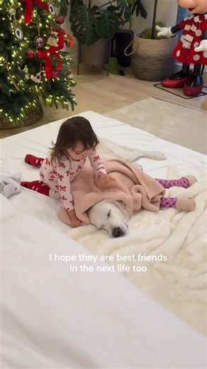 Lady the Golden Retriever on Instagram: "Little nurse Olivia taking care of Lady🩷 Audio by @josiebalka #kidsanddogs #sisters #bestfriend"