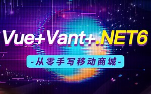 全新Vue Vant .NET6实战：从零到一落地移动商城 ,vue vant .NET6实现web前端项目(前端Nodejs、vant、.NET6)B0896