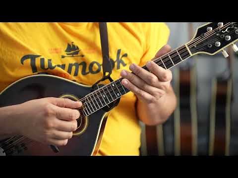 Use Only Six Chords To Learn Four Keys On The Mandolin!