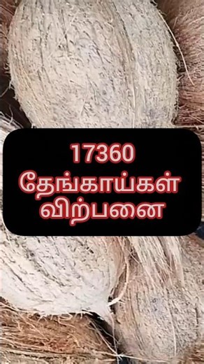 17360 தேங்காய்கள் விற்பனை விலை இறங்கு முகம் | 23-02-2026 News #kodumudi #thengai #trending #agri