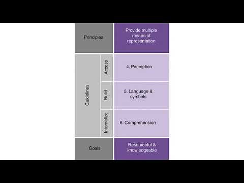 Introduction to Multiple Means of Representation