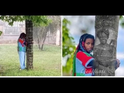 A Shujaa Is Born in Nyeri! 🌳🔥 Truphena Muthoni’s 72-Hour Tree-Hug WORLD RECORD
