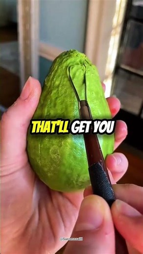 The madman's answer... #success #story #asmr Don't forget to subscribe and like.🙏