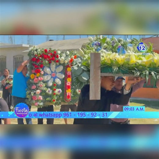 Así se vivió la entrada de flores en Aztlán, en honor a la Virgen de la Concepción con alegría y mucha tradición. #chiapasmexico | Canal 12 Chiapas TV