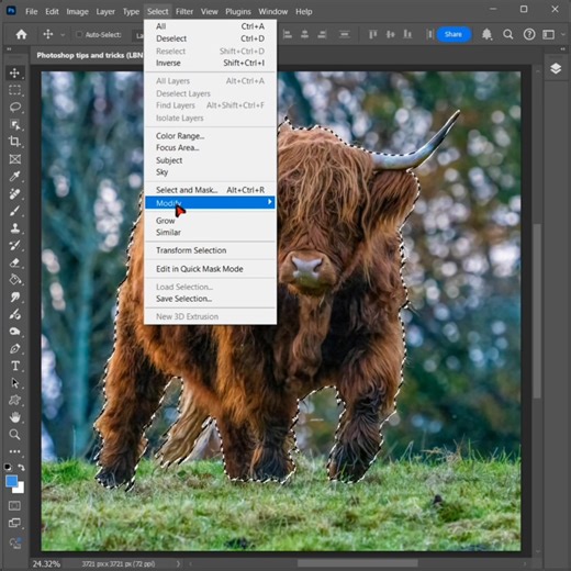 234K views · 2.1K reactions | How to remove the animal and show the background image in Photoshop | Photoshop tips and tricks | Facebook