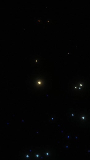 Explore the new Holiday Collection. Available Now. | Bravado