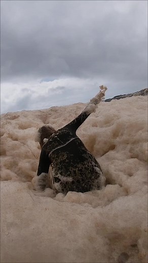 Seafoam Phenomenon Explained: Debunking the Myth of Whale Sperm