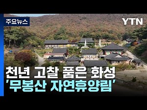 천년 고찰 품은 화성 '무봉산 자연휴양림'...수도권 힐링 명소 주목 / YTN