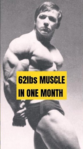 Does Fat Turn To Muscle?