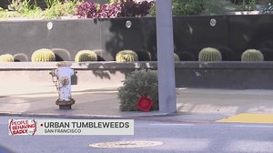 People behaving badly: Urban tumbleweeds