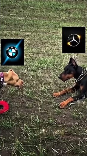 BMW EDİT #shorts #keşfetteyiz #beniöneçıkart