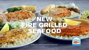 Grilled Seafood - Captain D's TV Commercial
