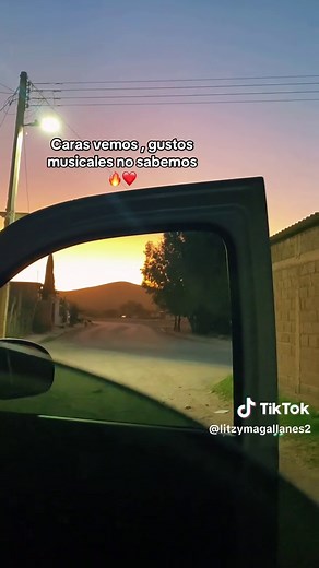 #trigillopalma#corridos#msi#musica#viralvideos#f#gustos#rancho