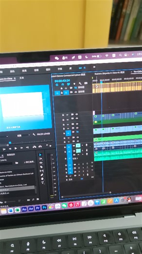 使用pr2021过程通过srt上双语字幕，新版字幕轨道只能开启一轨吗？不知道如何操作才能同时显示两轨，难道是bug？