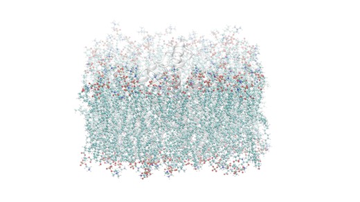 Generative modeling of ligands in protein binding sites