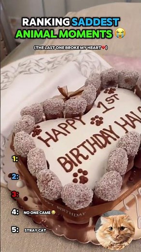 The Saddest Animal Moments Ever Caught On Camera 💔